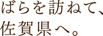 ばらを訪ねて、佐賀県へ。