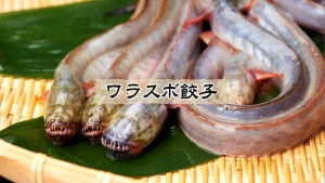 06_ワラスボ餃子①