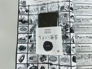 17_『藻刊サガノリ』実物_付録